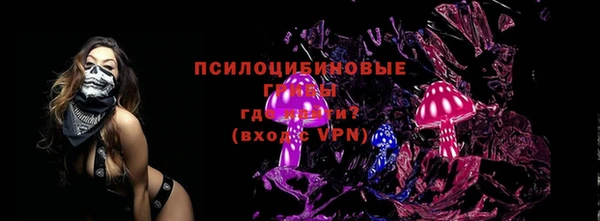 спайс Баксан