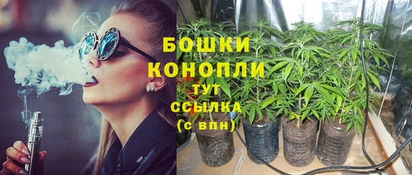 спайс Баксан