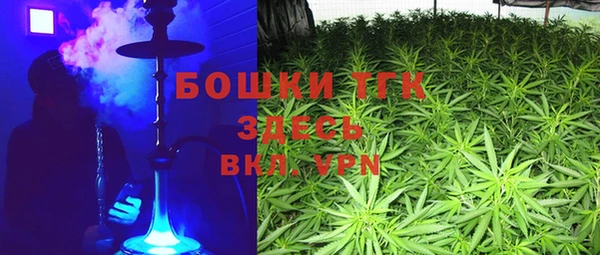 ГАЛЛЮЦИНОГЕННЫЕ ГРИБЫ Балахна