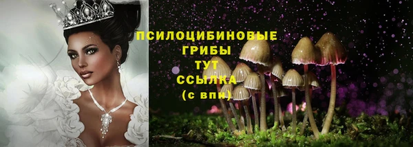 ГАЛЛЮЦИНОГЕННЫЕ ГРИБЫ Балахна