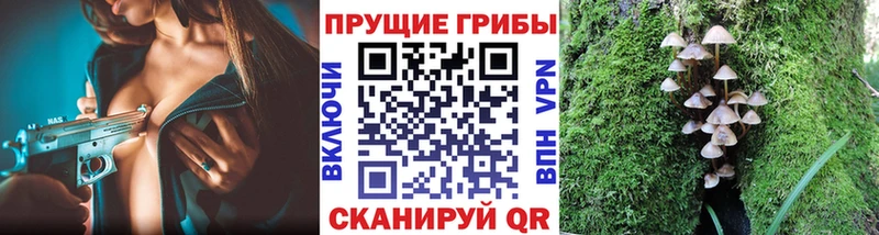 Купить  Краснокамск  Псилоцибиновые грибы прущие грибы 